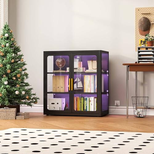 Glass Cabinet Display - خزانة عرض بأبواب زجاجية وإضاءة RGB